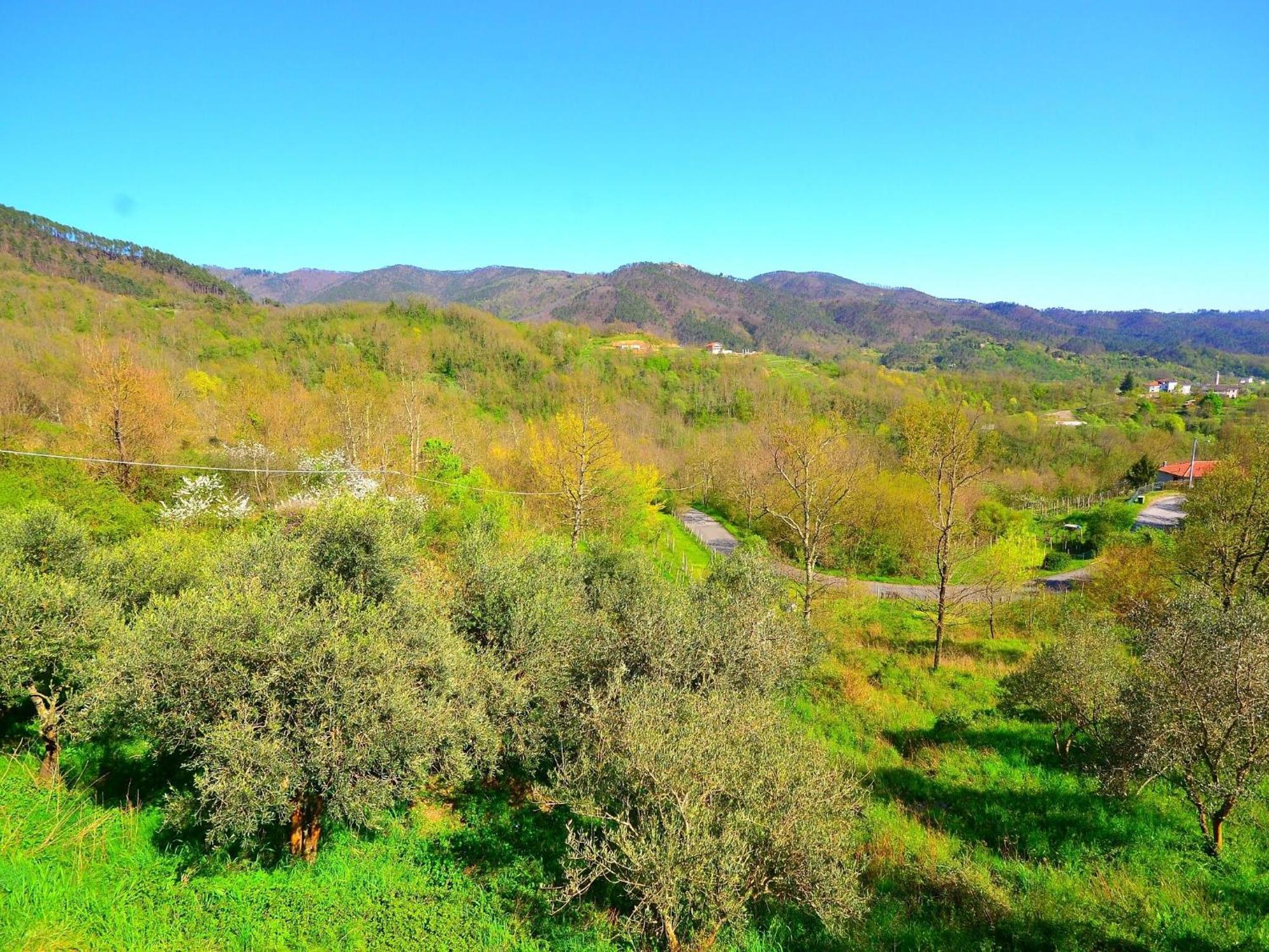 Spacious Home Surrounded By Nature Sesta Godano Εξωτερικό φωτογραφία